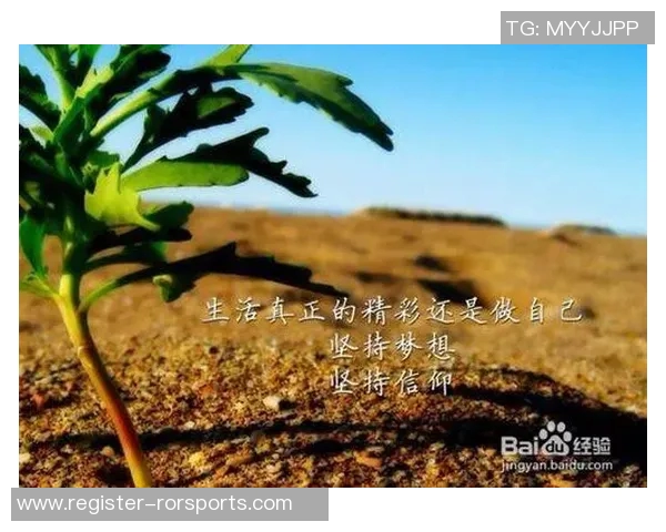 运动数据李伟的羽毛球人生深度对话探索运动背后的坚持与梦想 运动数据李伟的羽毛球人生深度对话探索运动背后的坚持与梦想